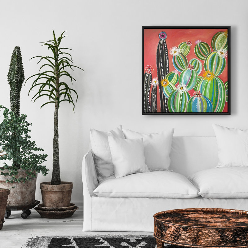 " Rainbow Cactus "