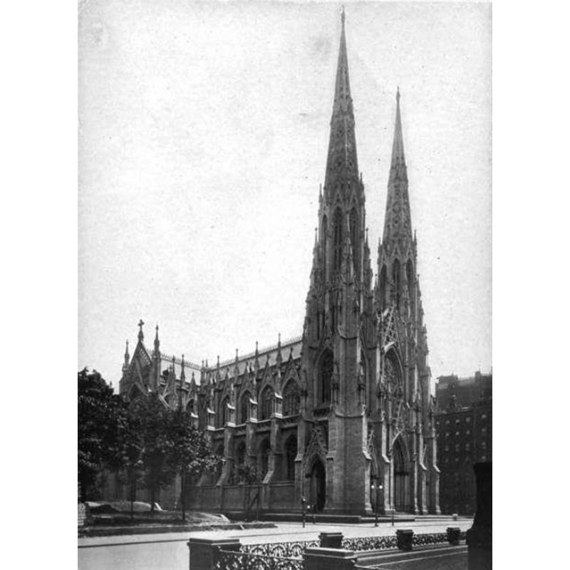 Cathédrale Saint-Patrick de New York, H 24 po x l 17 po