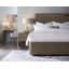 Lit standard Modern Mood-95851412-95851411