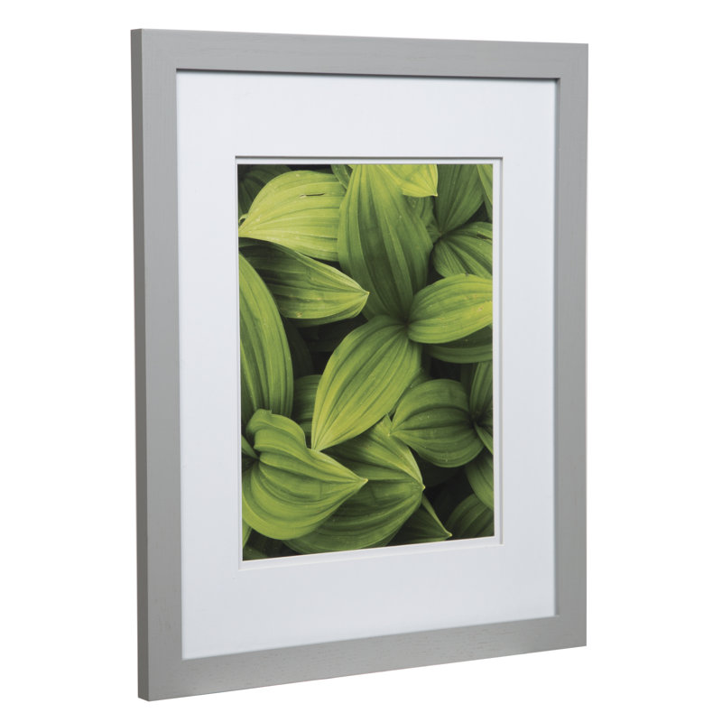 Boxelder Wood Matte Picture Frame with Mat, Gray, 11" x 14"
