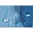 Steam Shower