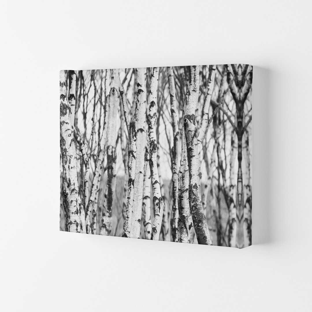 Off the Beaten Path by Victoria Frost - Photograph Print