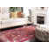 Chantae Performance Oriental Rug