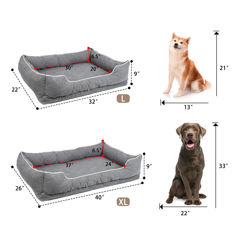 Lit pour chien Aafrin, Petit (l 32 po x P 22 po x H 9 po)