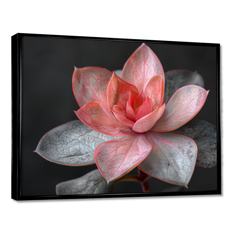 Beauté botanique succulente monochrome III - Décoration murale succulente, H 24 po x l 32 po x P 1 po
