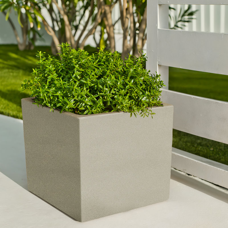 Wandie Green Polyethylene Pot Planter, Sand, 14.2" H x 15.7" W x 15.7" D