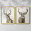 Impression encadrée Handsome Whitetail I-Premium - prête à être accrochée - aucun clou requis - aucun clou requis-137286774-137286773
