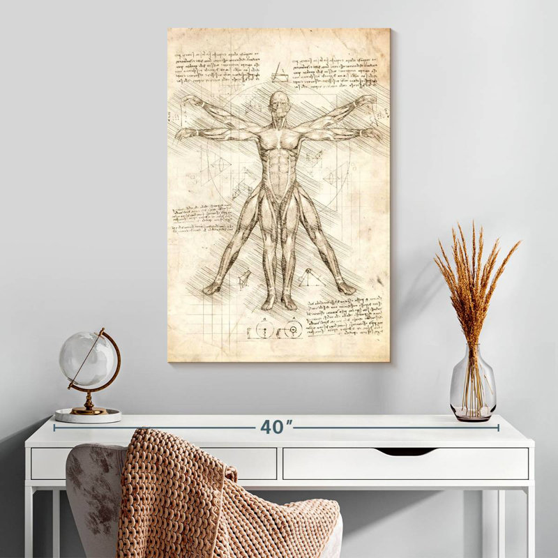 Keiri Vitruvian Man, 30" H x 20" W