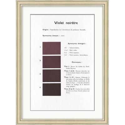 Violet 9 Print by Danielle Rollins