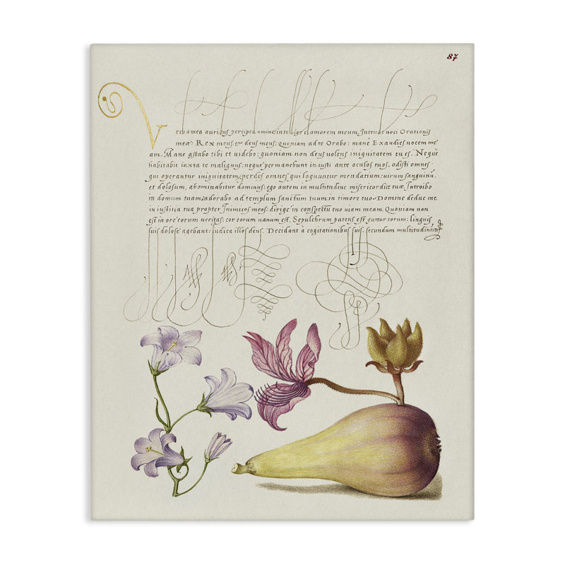 «Classical Cottage Plants» par Melissa Wang, H 30 po x l 24 po