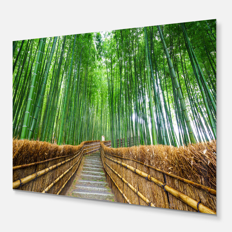 Path to Bamboo Forest - Reproduction de photo sur toile tendue, H 16 po x l 32 po x P 1 po, Toile tendue