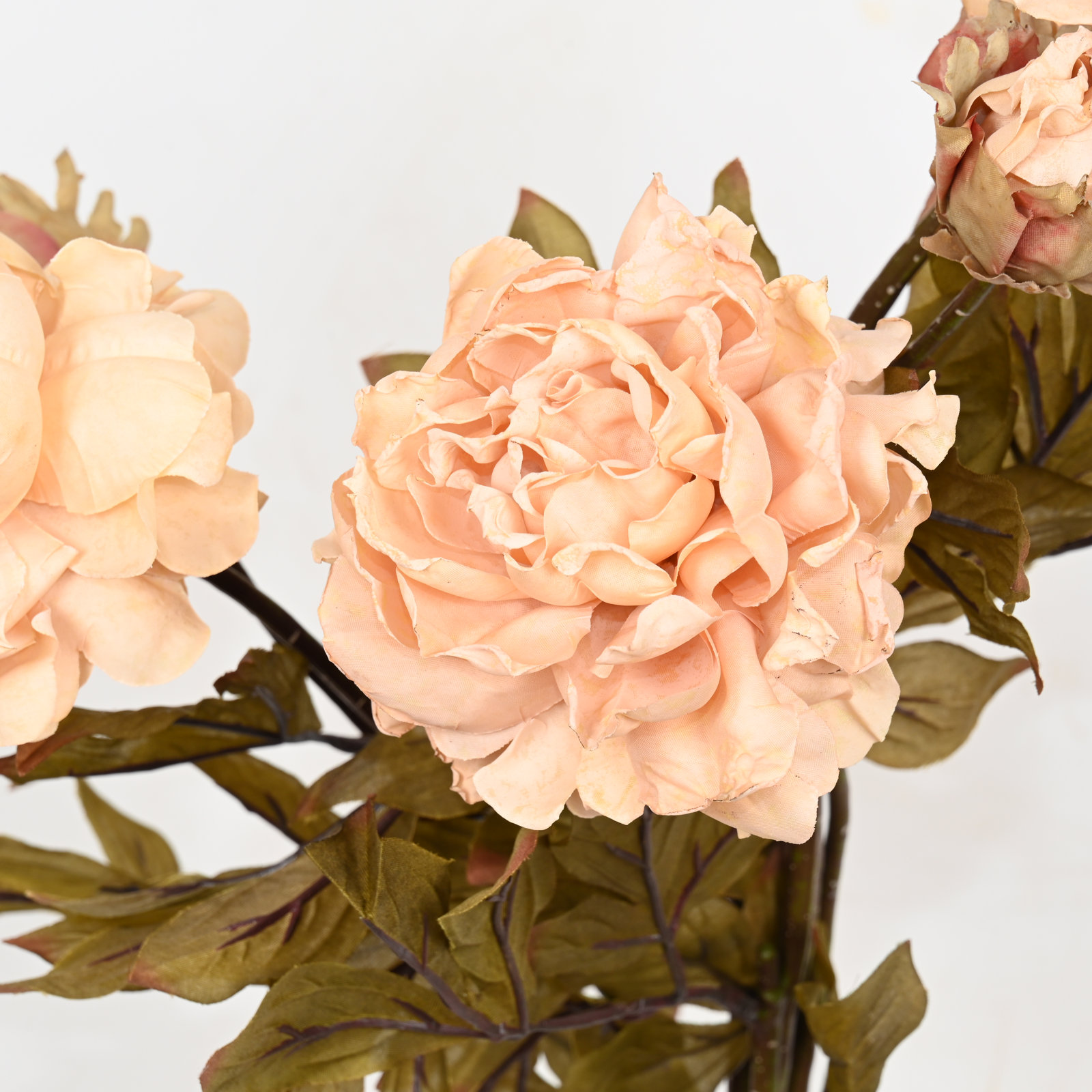 Peony Floral Arrangement, Cream