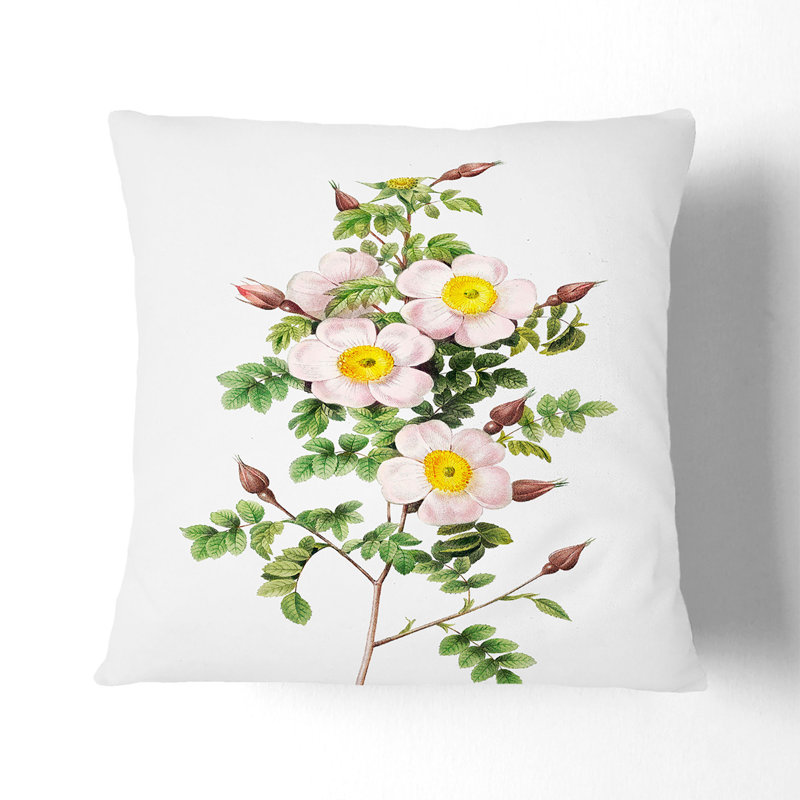 Burnet Rose In Pink Square Throw Cushion, 40cm H x 40cm W x 15cm D, White