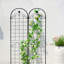 Paquet de 2 treillis de jardin en métal pour plantes grimpantes