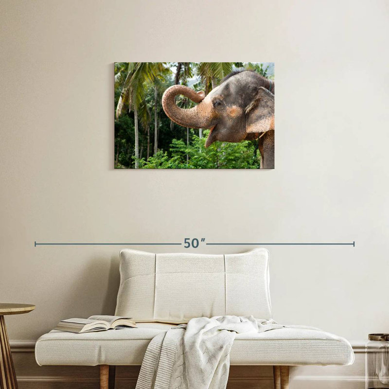 Brampt souriant éléphant d'Asie, H 20 po x l 30 po