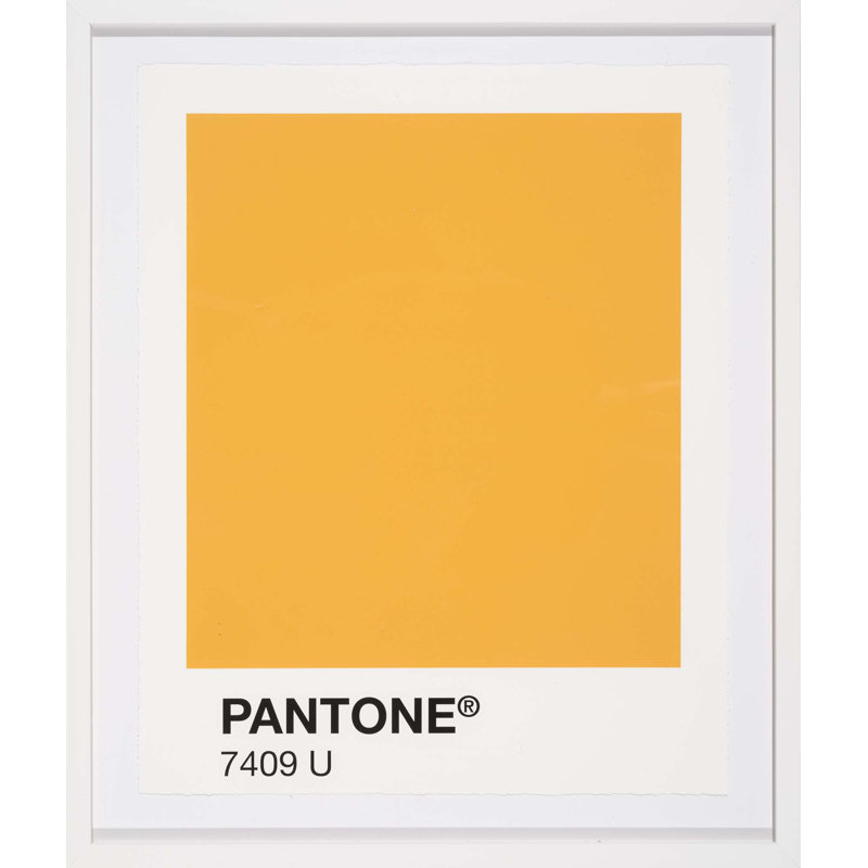 " Color Swatch ", Orange
