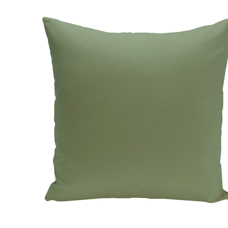 Housse de coussin décoratif d'extérieur carré asiatique Asian, Édamame, 16 po x 16 po