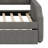 Cicel Upholstered Daybed with Trundle Bed-1741891535
