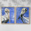 «Pelican Pool I», reproduction encadrée de qualité supérieure - prête à être accrochée - aucun clou requis - aucun clou requis-2066172526-2066172517