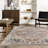Faded Medallion Fringe Area Rug-1065177266