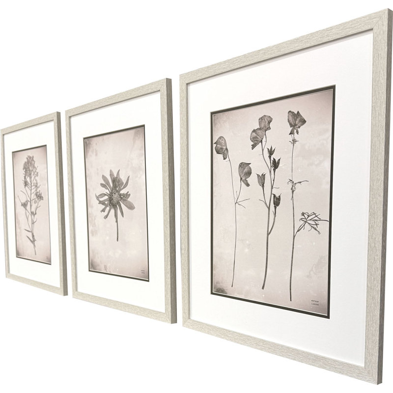 Wildflower Stems I Framed Art