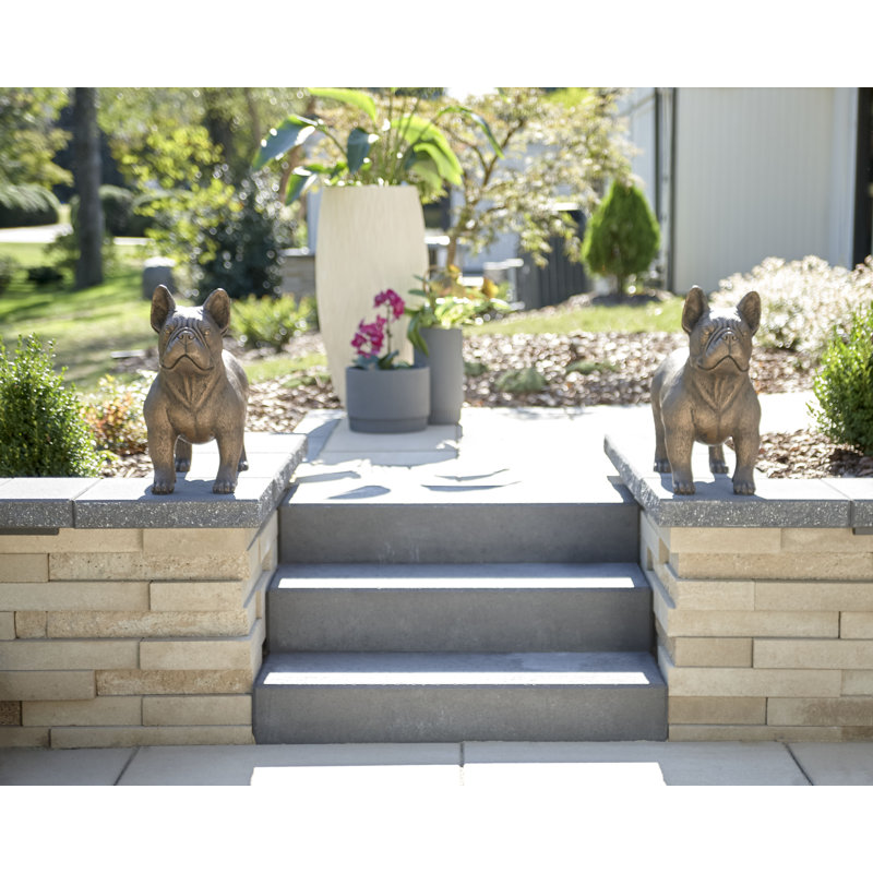 Bouledogue français, Bronze