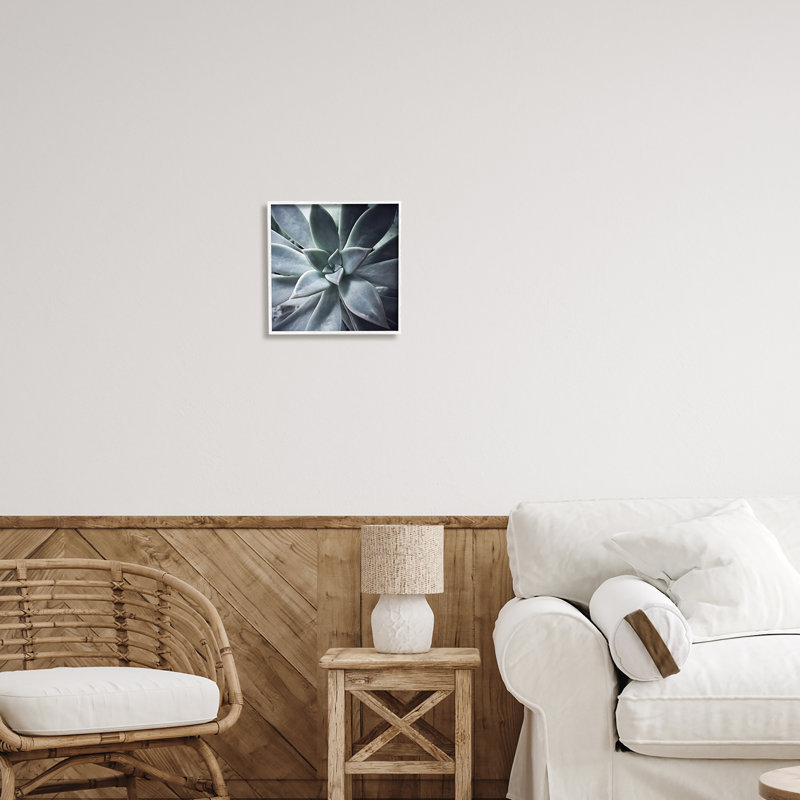 «Modern Succulent Close Up Plant Life Botanical», photographie sur toile à cadre flottant, H 12 po x l 12 po x P 1,5 po