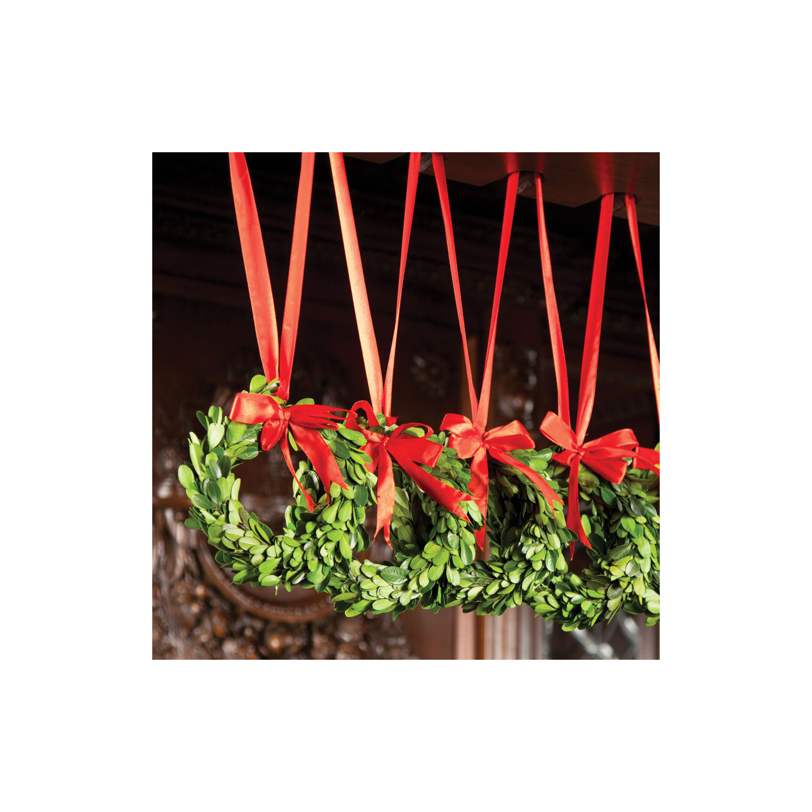 Alby 6.5'' Handcrafted Preserved Boxwood Real Greenery Wreath