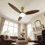 Ceiling Fan-556260656-556260660
