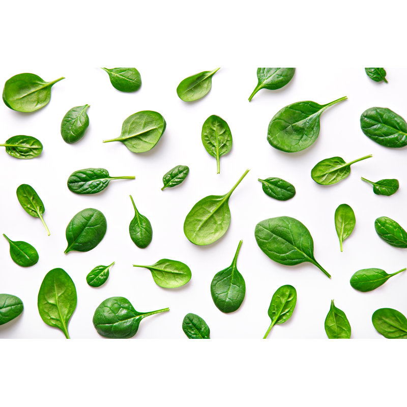 Spinach pattern 1 Piece Wrapped Canvas Wall Art, 30cm H x 46cm W