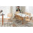 19.3" H Mid-Century Modern Cantilever Dining Chair with Cane Back and Seat, Metal Frame -1025147587-1034013907