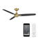 54" Blitzen 3 - Blade Smart Ceiling Fan With Remote Control Included, Works With Google Assistant, Amazon Alexa, iOS And Android APP