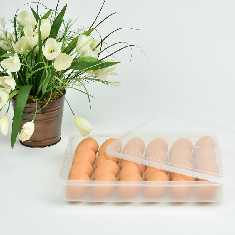 Food Storage Container