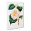 Pink Camellia Flowers - Wrapped Canvas Painting-55324705