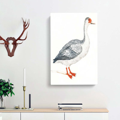 Goose by Johan Teyler - Wrapped Canvas