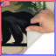 Tapis de bain ours noir en forêt-862098214