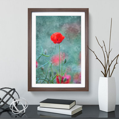 A Lone Poppy Flower - Picture Frame Graphic Art