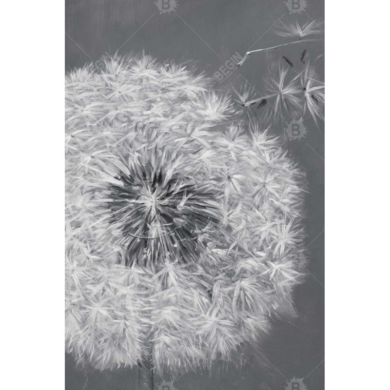 «Blowing Dandelion» sur toile, H 36 po x l 24 po