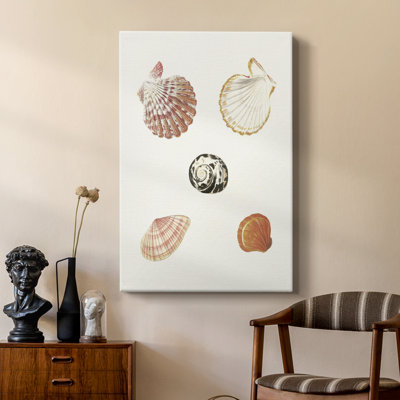 Pastel Knorr Shells VIII -Custom Wrapped Gallery Cavas