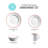 Martha Stewart Cliffield Ceramic Dinnerware Set - Service for 4-86364155
