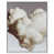 White Floater Frame