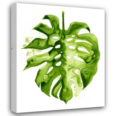 Art sur toile tendue Art Gallery, Popp, Grace: Monstera II