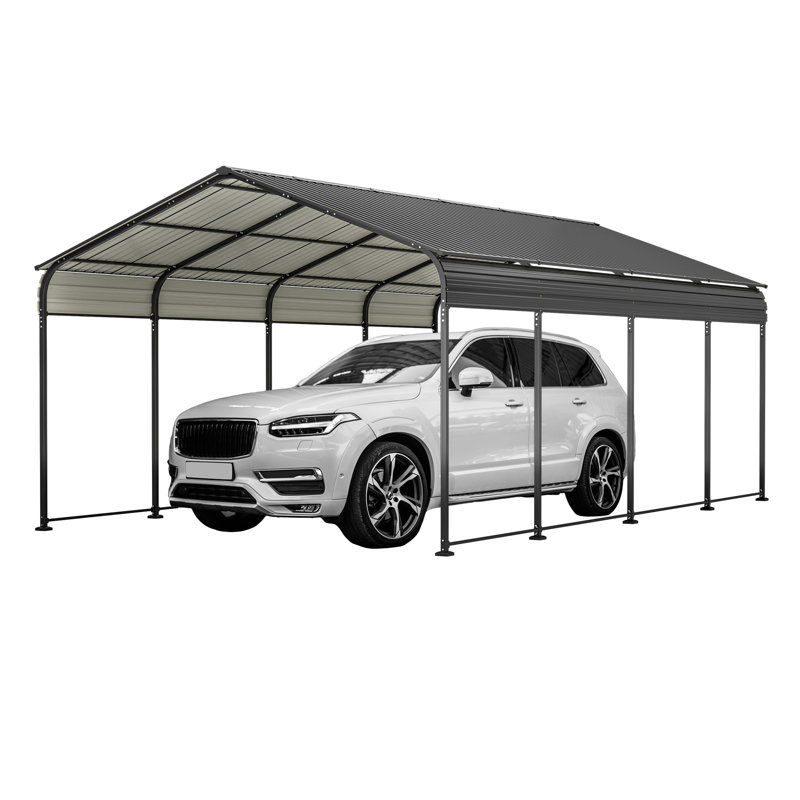 12 pi. L 20 pi. D Abri d'auto avec toit en acier galvanisé