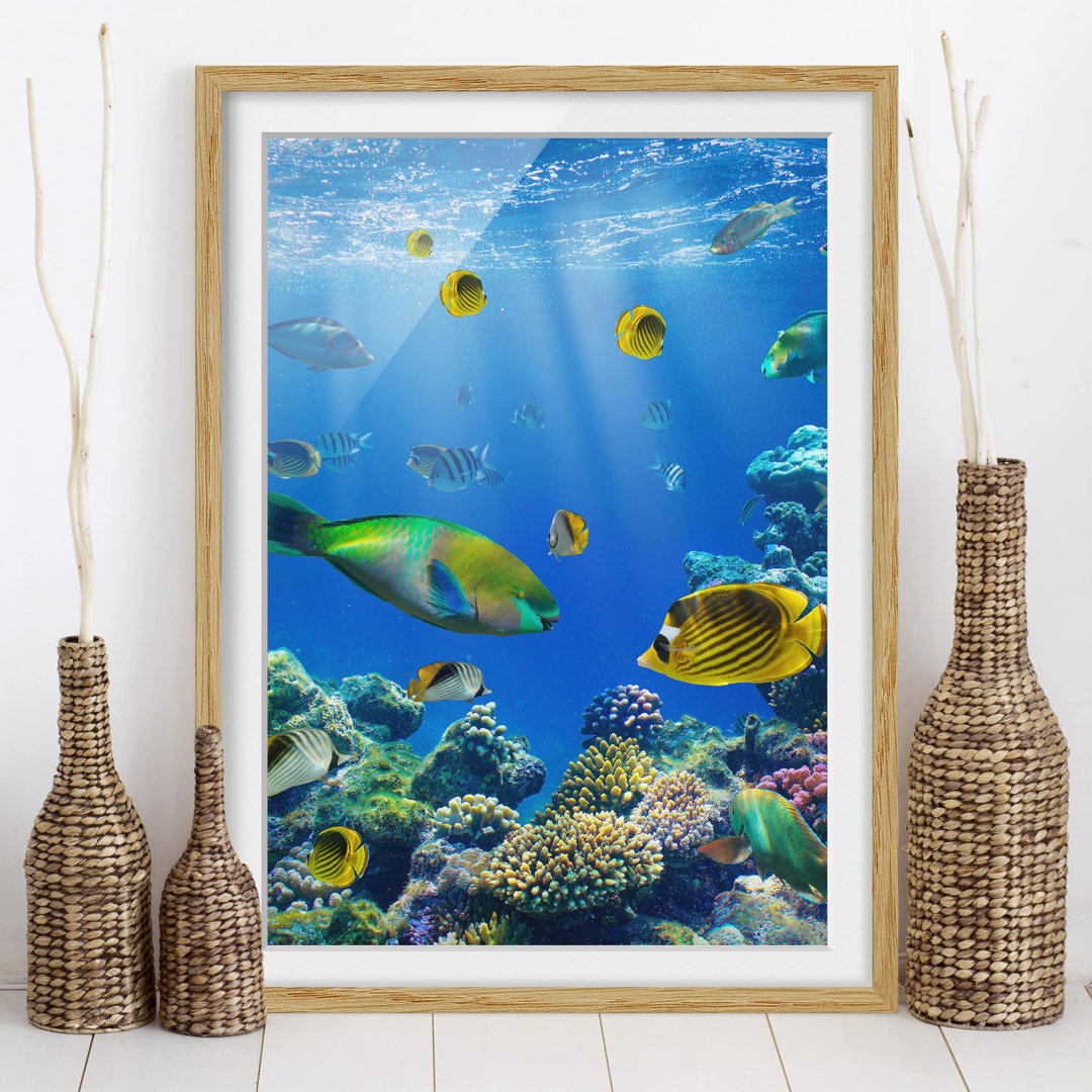 Gerahmtes Poster Underwater Lights