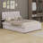 Upholstered Platform Bed With Trundle-1275679585