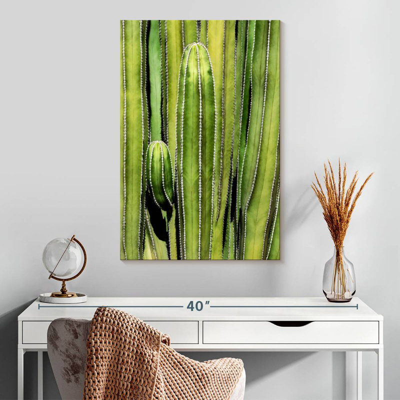 Harnek Cactus Overlay, 30" H x 20" W