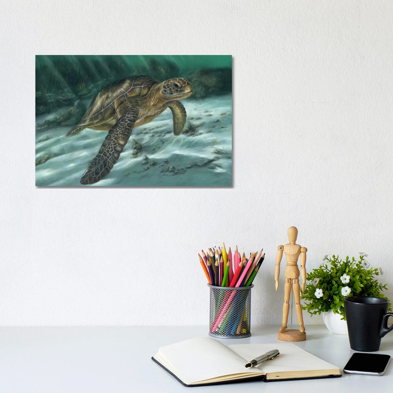 Sea Turtle by Richard Macwee - Wrapped Canvas Gallery-Wrapped Canvas Giclée, 20.32 cm H x 30.48 cm W