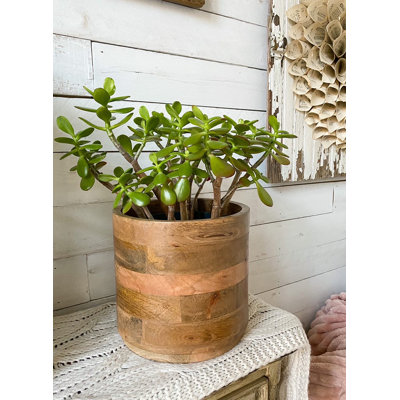 Cache pot Gaylor