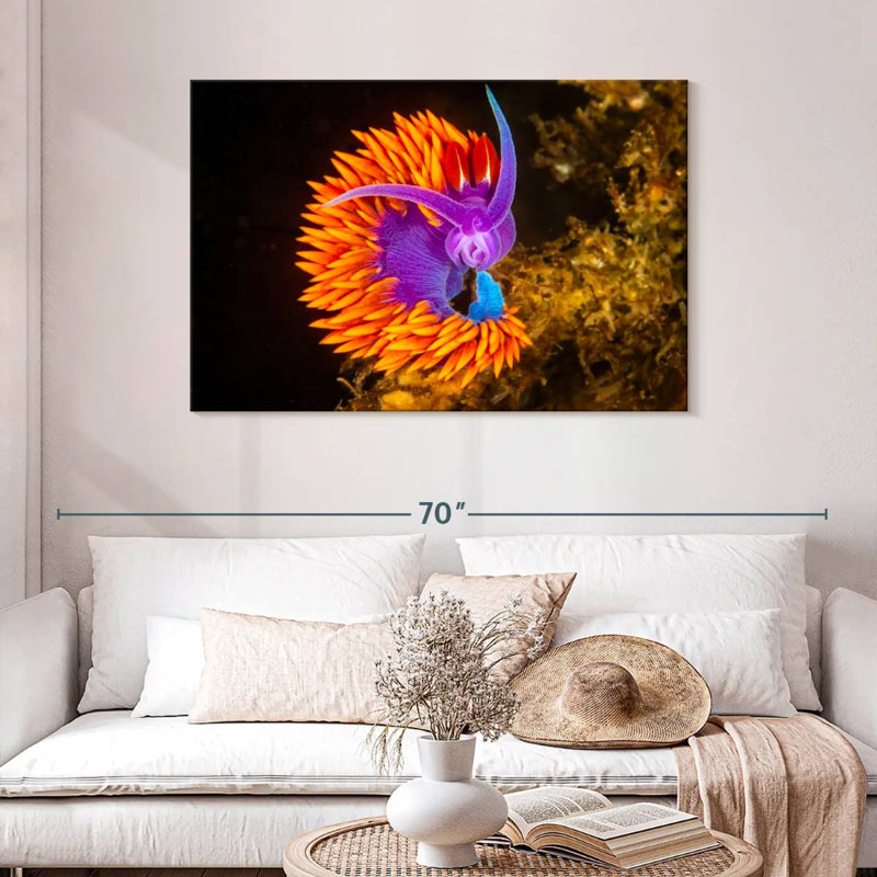 Crowle Spanish Shawl Nudibranch, 30" H x 45" W