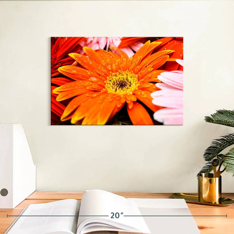 Dewy Orange Daisy, 8" H x 12" W